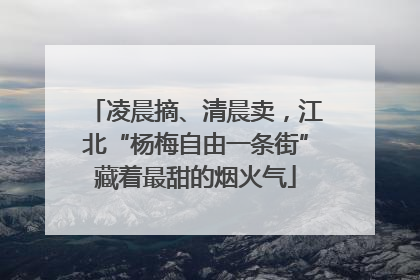 凌晨摘、清晨卖，江北“杨梅自由一条街”藏着最甜的烟火气