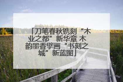 刀笔春秋镌刻“木业之都”新华章 木韵墨香擘画“书刻之城”新蓝图