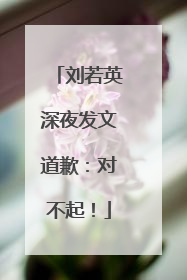 刘若英深夜发文道歉：对不起！