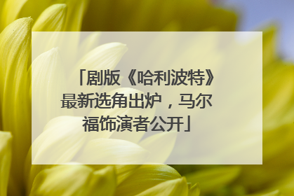 剧版《哈利波特》最新选角出炉，马尔福饰演者公开