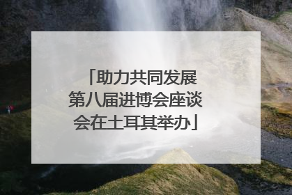 助力共同发展 第八届进博会座谈会在土耳其举办