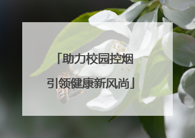 助力校园控烟 引领健康新风尚