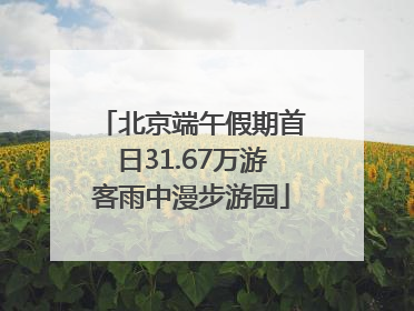 北京端午假期首日31.67万游客雨中漫步游园