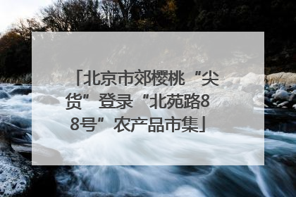 北京市郊樱桃“尖货”登录“北苑路88号”农产品市集