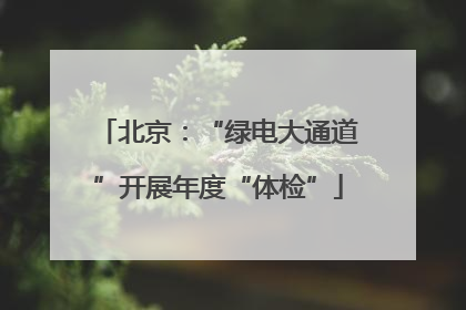北京：“绿电大通道”开展年度“体检”