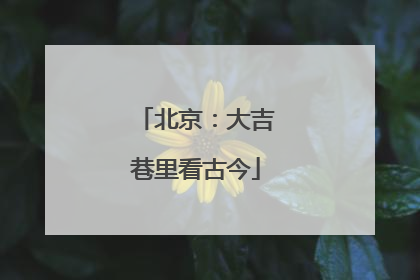 北京：大吉巷里看古今