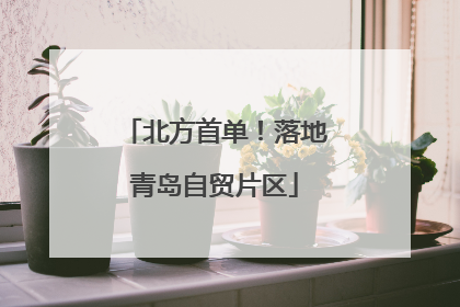 北方首单！落地青岛自贸片区
