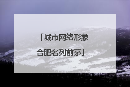 城市网络形象合肥名列前茅