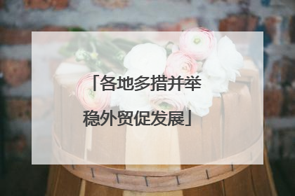 各地多措并举稳外贸促发展