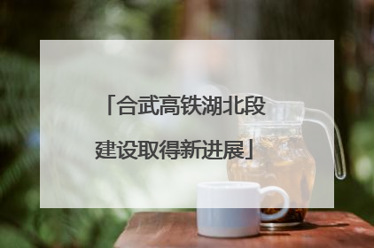 合武高铁湖北段建设取得新进展