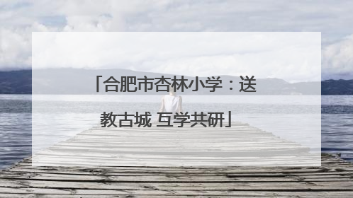 合肥市杏林小学：送教古城 互学共研