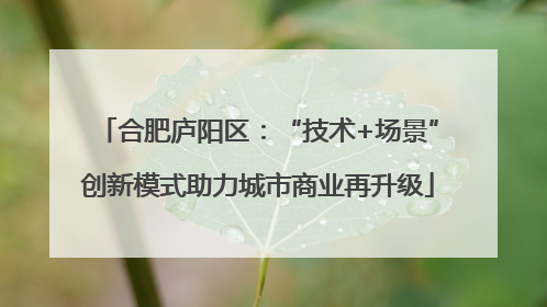 合肥庐阳区：“技术+场景”创新模式助力城市商业再升级