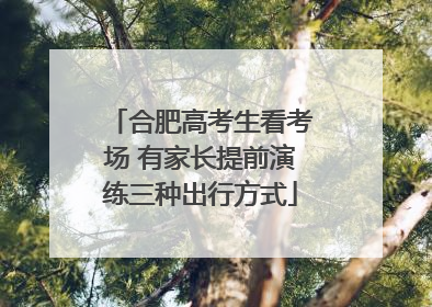 合肥高考生看考场 有家长提前演练三种出行方式