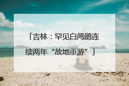 吉林：罕见白鸬鹚连续两年“故地重游”