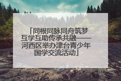 同根同脉同舟筑梦 互学互助传承共融——河西区举办津台青少年国学交流活动