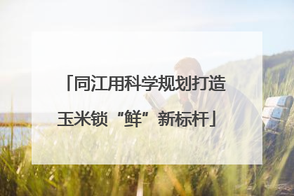 同江用科学规划打造玉米锁“鲜”新标杆