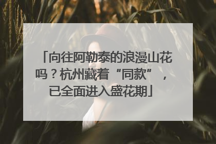 向往阿勒泰的浪漫山花吗？杭州藏着“同款”，已全面进入盛花期