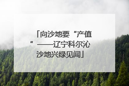 向沙地要“产值”——辽宁科尔沁沙地兴绿见闻