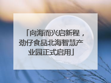 向海而兴启新程，劲仔食品北海智慧产业园正式启用
