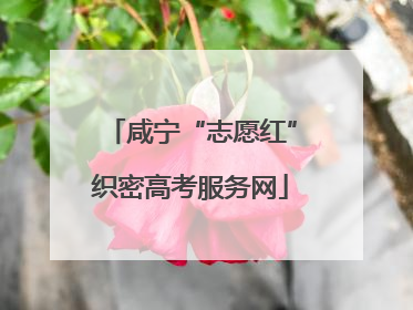 咸宁“志愿红”织密高考服务网