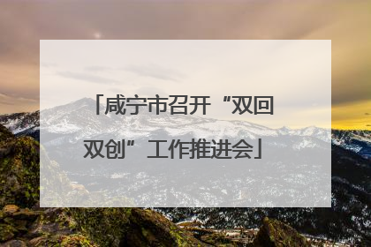 咸宁市召开“双回双创”工作推进会