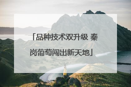 品种技术双升级 秦岗葡萄闯出新天地