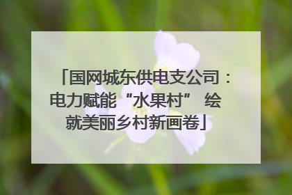 国网城东供电支公司：电力赋能“水果村” 绘就美丽乡村新画卷