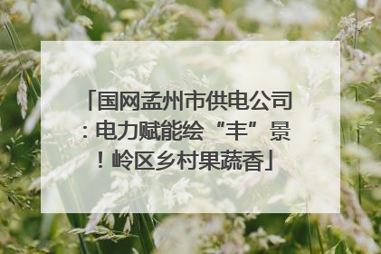 国网孟州市供电公司：电力赋能绘“丰”景！岭区乡村果蔬香