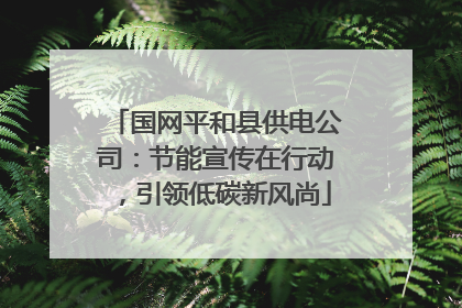 国网平和县供电公司：节能宣传在行动，引领低碳新风尚