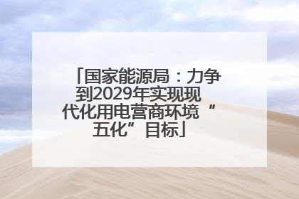 国家能源局：力争到2029年实现现代化用电营商环境“五化”目标