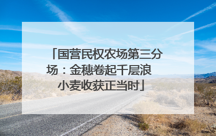 国营民权农场第三分场：金穗卷起千层浪 小麦收获正当时