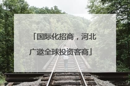 国际化招商，河北广邀全球投资客商