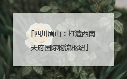 四川眉山：打造西南天府国际物流枢纽