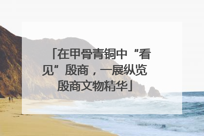 在甲骨青铜中“看见”殷商，一展纵览殷商文物精华
