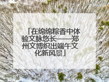在绵绵粽香中体验文脉悠长——郑州文博织出端午文化新风景
