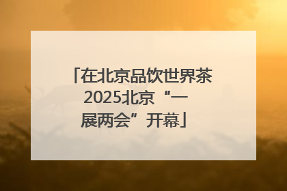 在北京品饮世界茶 2025北京“一展两会”开幕