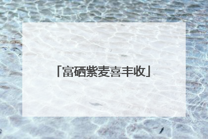 富硒紫麦喜丰收