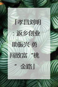 孝昌刘明：返乡创业助振兴 勇闯致富“桃”金路