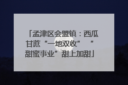 孟津区会盟镇：西瓜甘蔗“一地双收” “甜蜜事业”甜上加甜