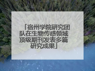 宿州学院研究团队在生物传感领域顶级期刊发表多篇研究成果