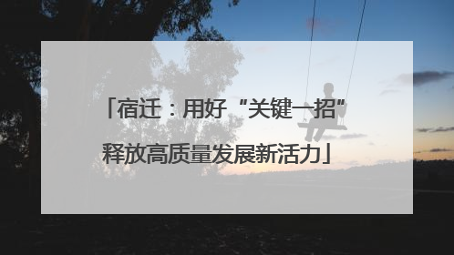 宿迁：用好“关键一招” 释放高质量发展新活力