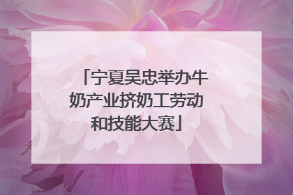宁夏吴忠举办牛奶产业挤奶工劳动和技能大赛