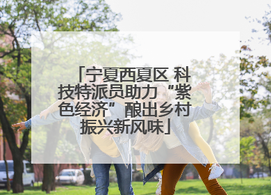 宁夏西夏区 科技特派员助力“紫色经济”酿出乡村振兴新风味