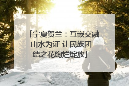 宁夏贺兰：互嵌交融 山水为证 让民族团结之花绚烂绽放
