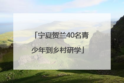 宁夏贺兰40名青少年到乡村研学