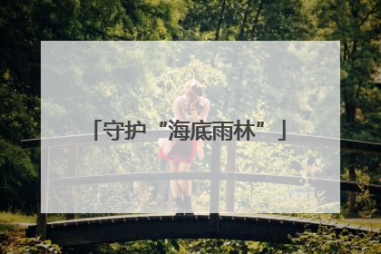 守护“海底雨林”