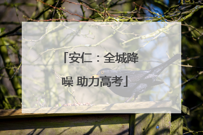 安仁：全城降噪 助力高考