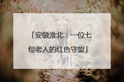 安徽淮北：一位七旬老人的红色守望