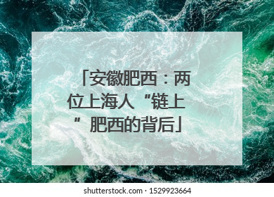 安徽肥西：两位上海人“链上”肥西的背后