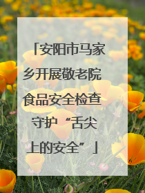 安阳市马家乡开展敬老院食品安全检查 守护“舌尖上的安全”